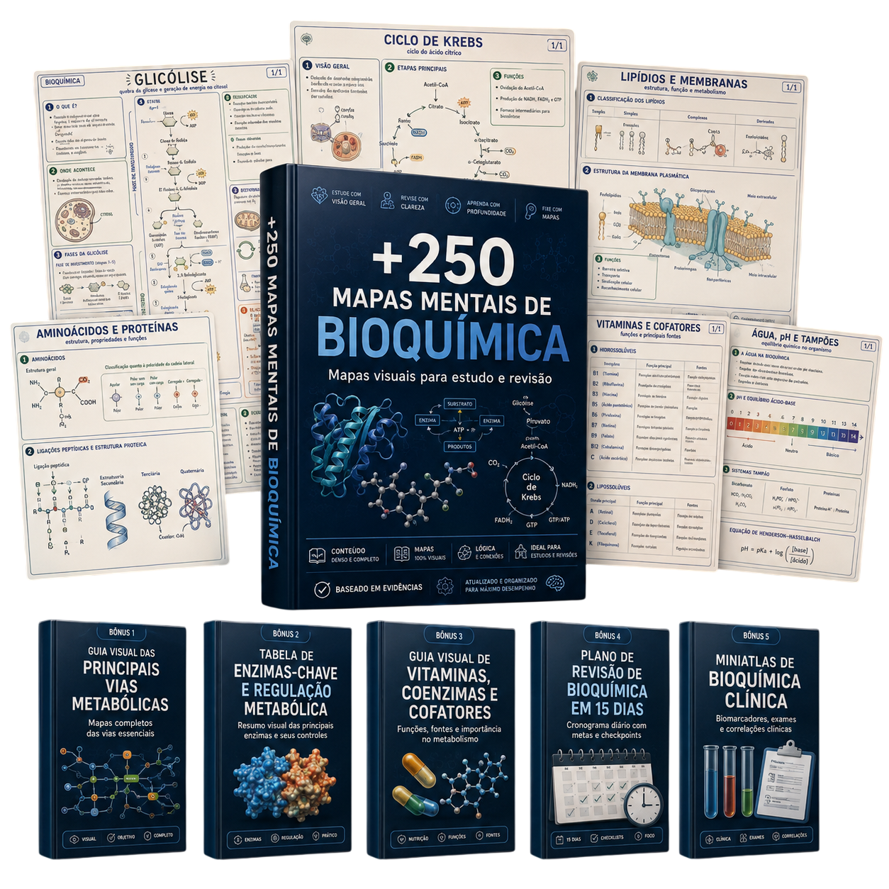 Kit Bioquímica Visual